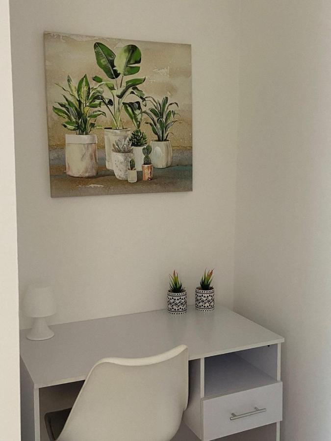 דירות Marina di Cerveteri Dream House Cerenova מראה חיצוני תמונה